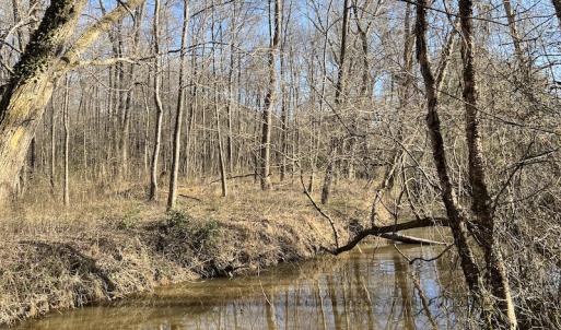 Photo #7 of SOLD property in Off Odell Littleton Road , Littleton , NC 200.0 acres