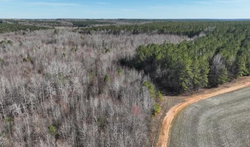 Photo #15 of SOLD property in Off Odell Littleton Road , Littleton , NC 200.0 acres