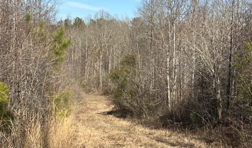 Photo #24 of SOLD property in Off Odell Littleton Road , Littleton , NC 200.0 acres