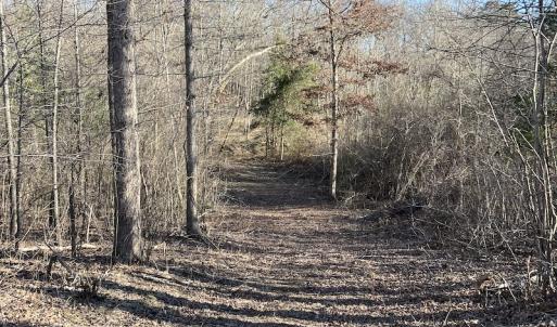 Photo #25 of SOLD property in Off Odell Littleton Road , Littleton , NC 200.0 acres