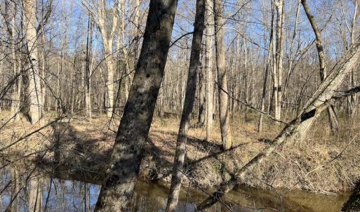 Photo #26 of SOLD property in Off Odell Littleton Road , Littleton , NC 200.0 acres