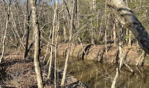 Photo #28 of SOLD property in Off Odell Littleton Road , Littleton , NC 200.0 acres
