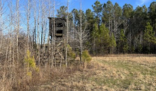 Photo #30 of SOLD property in Off Odell Littleton Road , Littleton , NC 200.0 acres