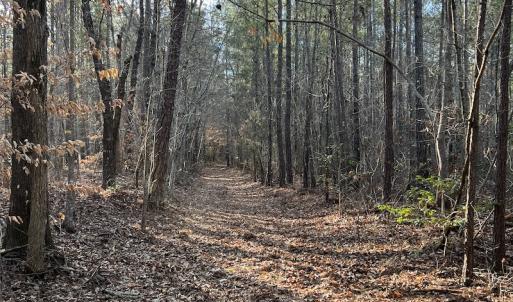 Photo #38 of SOLD property in Off Odell Littleton Road , Littleton , NC 200.0 acres