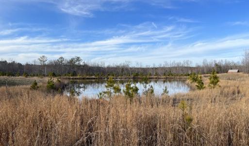 Photo #42 of SOLD property in Off Odell Littleton Road , Littleton , NC 200.0 acres
