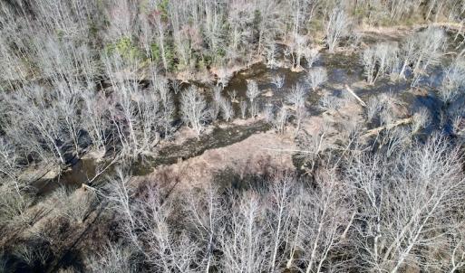 Photo #25 of SOLD property in Off Flood Store Road , Rocky Mount, NC 16.8 acres