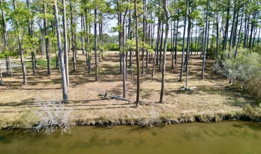 Photo #14 of 952 Paradise Shores Rd, Merritt, NC 2.3 acres