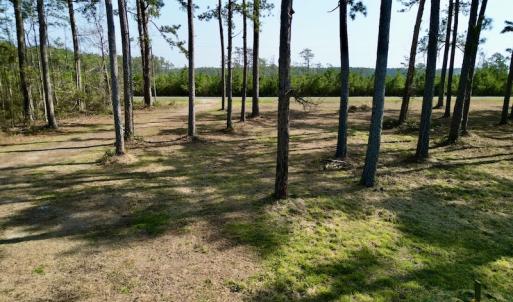 Photo #18 of 952 Paradise Shores Rd, Merritt, NC 2.3 acres