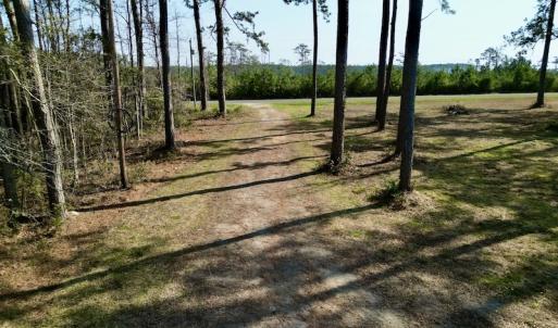 Photo #19 of 952 Paradise Shores Rd, Merritt, NC 2.3 acres