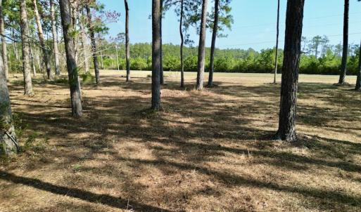 Photo #20 of 952 Paradise Shores Rd, Merritt, NC 2.3 acres