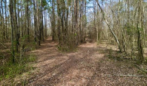 Photo #18 of OFF SR 1327, Trenton, NC 3.4 acres