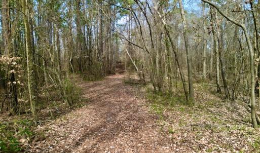 Photo #19 of OFF SR 1327, Trenton, NC 3.4 acres