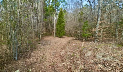 Photo #20 of OFF SR 1327, Trenton, NC 3.4 acres