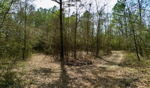 Photo #22 of OFF SR 1327, Trenton, NC 3.4 acres