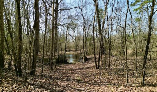 Photo #23 of OFF SR 1327, Trenton, NC 3.4 acres