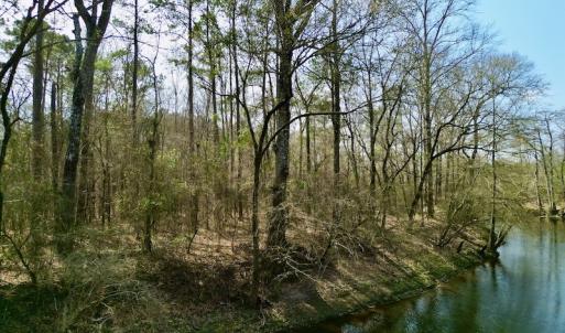 Photo #26 of OFF SR 1327, Trenton, NC 3.4 acres