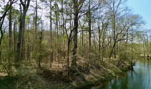 Photo #26 of OFF SR 1327, Trenton, NC 3.4 acres