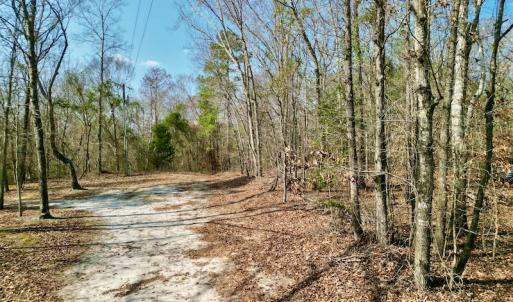 Photo #27 of OFF SR 1327, Trenton, NC 3.4 acres