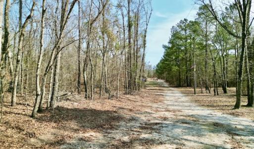 Photo #28 of OFF SR 1327, Trenton, NC 3.4 acres