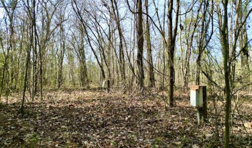 Photo #29 of OFF SR 1327, Trenton, NC 3.4 acres