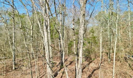 Photo #32 of OFF SR 1327, Trenton, NC 3.4 acres