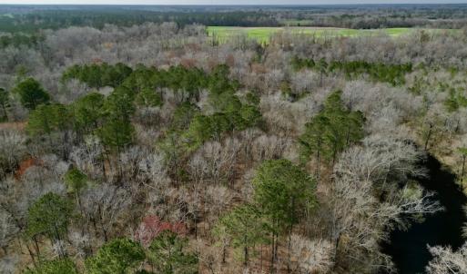 Photo #5 of OFF SR 1327, Trenton, NC 3.4 acres