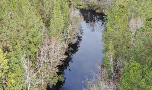 Photo #5 of SOLD property in 345 Conway Road, Fairbluff, NC 20.0 acres