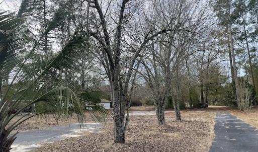 Photo #8 of SOLD property in 345 Conway Road, Fairbluff, NC 20.0 acres
