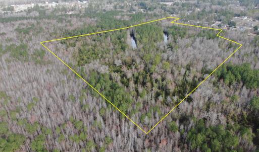 Photo #3 of SOLD property in 345 Conway Road, Fairbluff, NC 20.0 acres