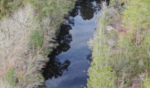 Photo #9 of SOLD property in 345 Conway Road, Fairbluff, NC 20.0 acres