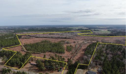 Photo #2 of Off US 76, Fairbluff, NC 182.6 acres