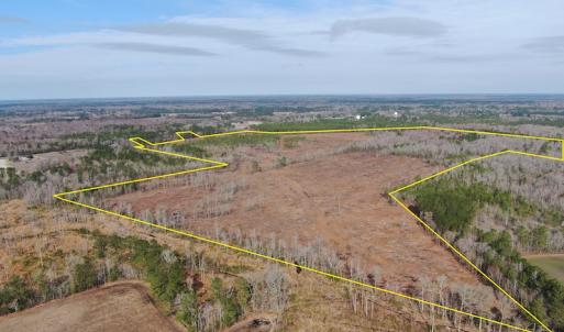 Photo #3 of Off US 76, Fairbluff, NC 182.6 acres