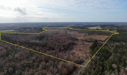 Photo #4 of Off US 76, Fairbluff, NC 182.6 acres