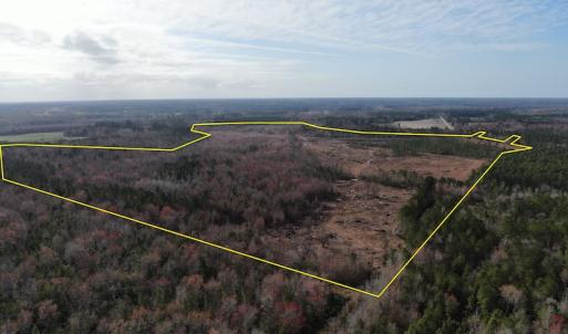Photo #4 of Off US 76, Fairbluff, NC 182.6 acres