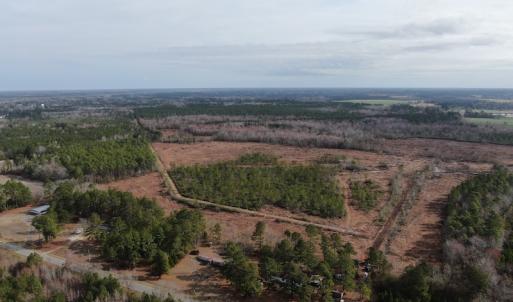 Photo #6 of Off US 76, Fairbluff, NC 182.6 acres