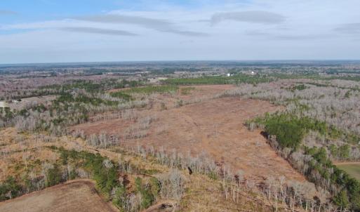 Photo #7 of Off US 76, Fairbluff, NC 182.6 acres