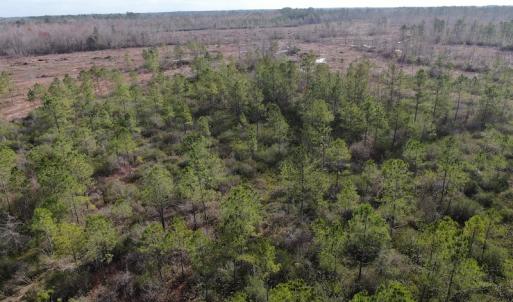 Photo #8 of Off US 76, Fairbluff, NC 182.6 acres