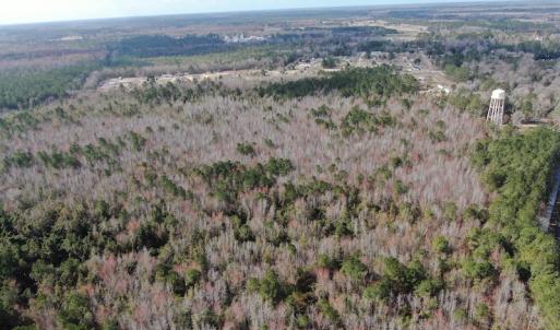 Photo #9 of Off US 76, Fairbluff, NC 182.6 acres