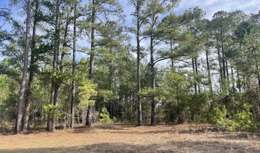 Photo #10 of Off US 76, Fairbluff, NC 182.6 acres