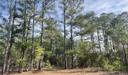 Photo #11 of Off US 76, Fairbluff, NC 182.6 acres