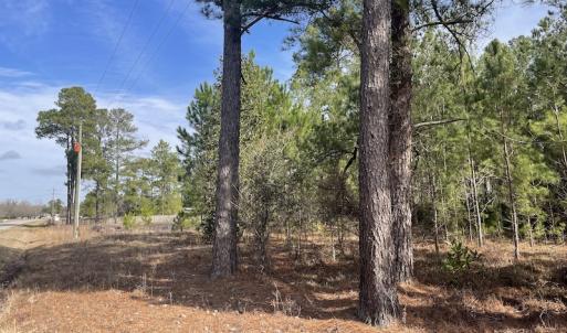 Photo #12 of Off US 76, Fairbluff, NC 182.6 acres
