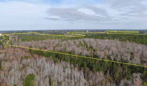 Photo #3 of Off NC 904, Fair Bluff, NC 355.0 acres