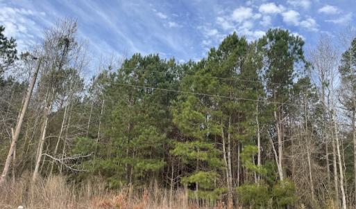 Photo #8 of Off NC 904, Fair Bluff, NC 355.0 acres