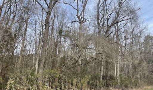 Photo #9 of Off NC 904, Fair Bluff, NC 355.0 acres