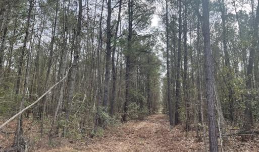 Photo #10 of Off NC 904, Fair Bluff, NC 355.0 acres
