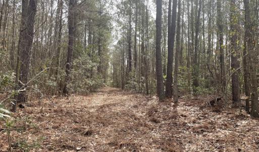 Photo #11 of Off NC 904, Fair Bluff, NC 355.0 acres