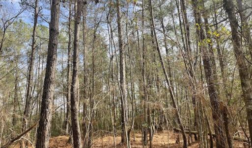 Photo #15 of Off NC 904, Fair Bluff, NC 355.0 acres