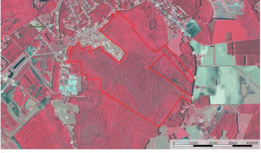Photo #16 of Off NC 904, Fair Bluff, NC 355.0 acres
