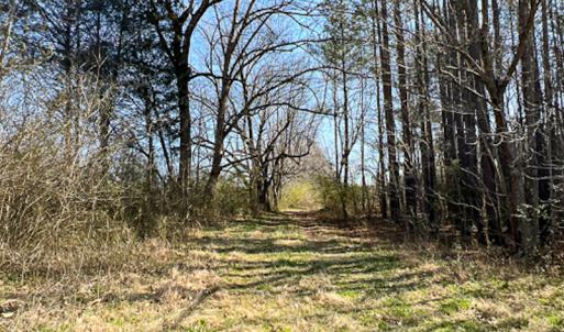 Photo #8 of SOLD property in OFF Western Mill Road , Lawrenceville, VA 40.0 acres