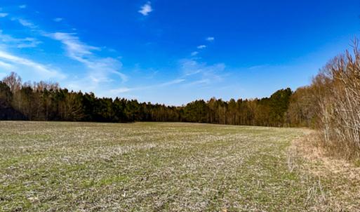 Photo #5 of SOLD property in OFF Western Mill Road , Lawrenceville, VA 40.0 acres